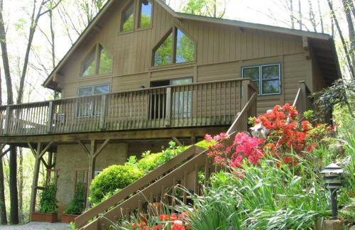 Top of the Line Asheville Mountain Cabin - Foto 56