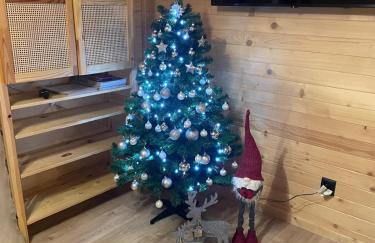 Domek Kołodziejowo z jacuzzi Góry Sowie Góry Stołowe - Foto 30