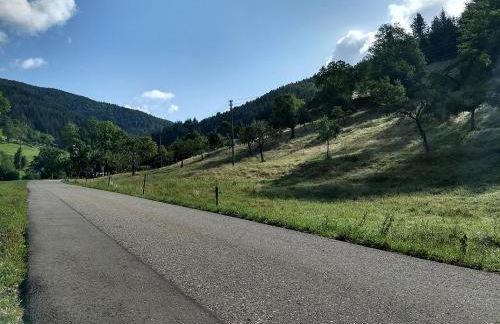 de Vinkenborg 8 pers nabij Winterberg - Foto 29