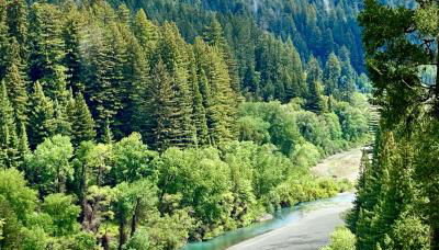 Avenue of the Giants River View Home (#1) - Foto 3