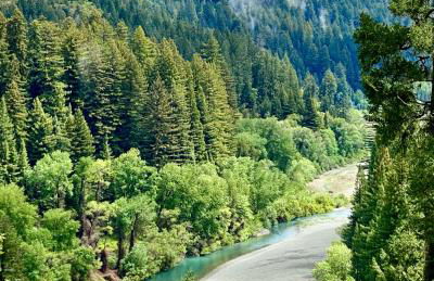 Avenue of the Giants River View Home (#1) - Foto 3