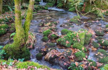 O Campo DaFolla - Foto 32