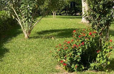 Sea Escape - Photo 28