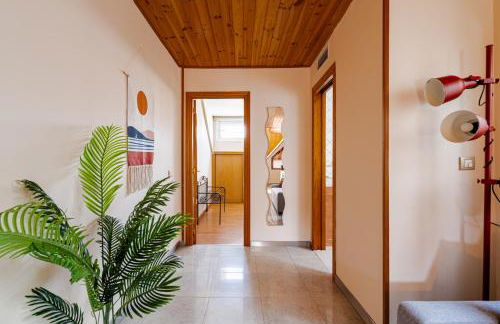 Luz natural - Photo 5