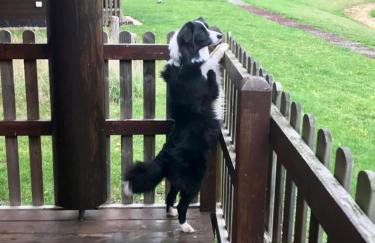 Teal Lodge - Foto 23