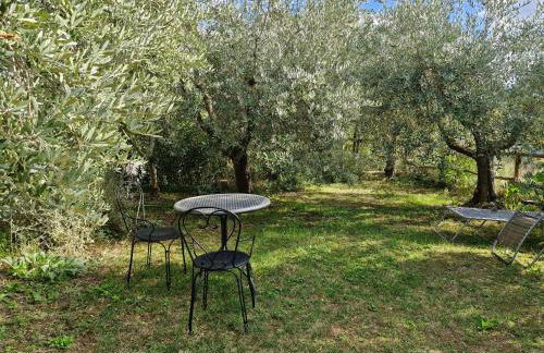 Olivo at Pietraie a cottage with many flowers in the Valley - Foto 15