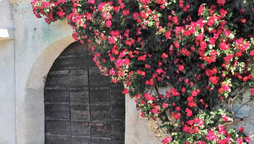 Ap. Ginevra - Lago di Garda - Photo 3