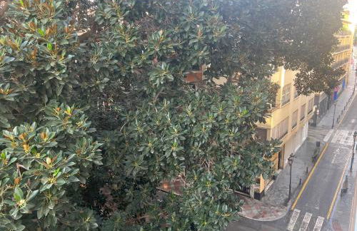 Precioso loft en el corazón de Alicante - Photo 24