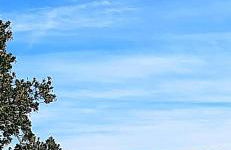 La Dueña I - Photo 45