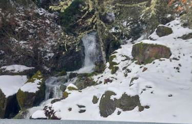 Lugar da Borralheira - Foto 37