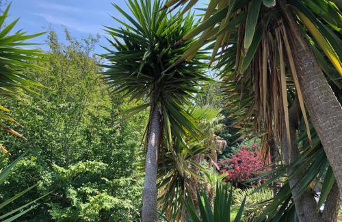 Little Gem with Private Hot Tub - Up to 25 percent off ferry - Foto 27