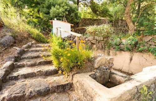 Quinta Da Relva - A traditional farmhouse in a stunning location - Foto 64