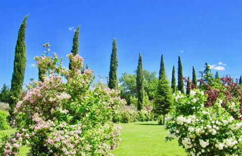 le vieux pont - Foto 40