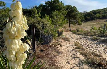 Maison dans les dunes - Photo 19