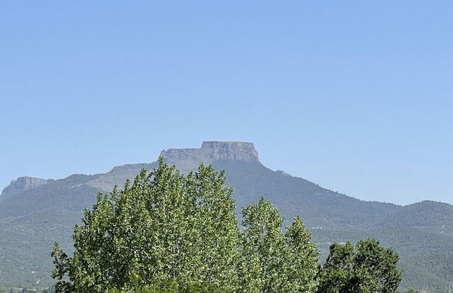 Evergreen Apartments - Photo 20