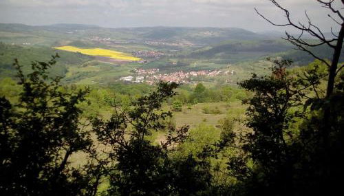 Holiday Home Gemütliches Ferienhaus in Fischbach Rhön by Interhome - Foto 3