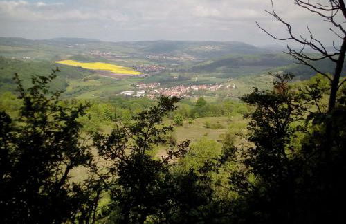 Holiday Home Gemütliches Ferienhaus in Fischbach Rhön by Interhome - Foto 3