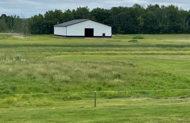 Yahweh Horse Retreat - Photo 7