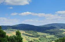 DOMEK LETNISKOWY MYSCÓWKA - Foto 28