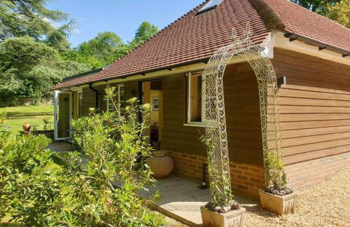 Little Vintners by inspirestays-com - Foto 3