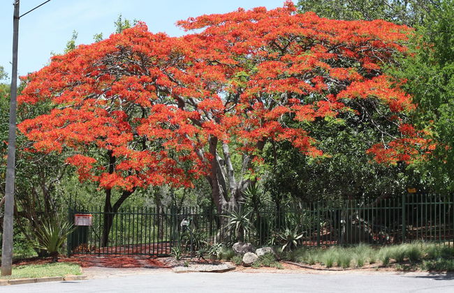 Birds Babble Self Catering Guest House - Foto 8