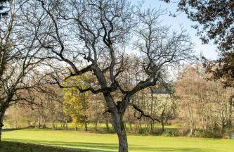 Gîtes du Moulin à Tan à Saché 37 - Photo 11