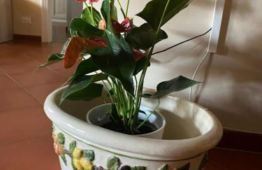 Appartamento Magnolia - Foto 25