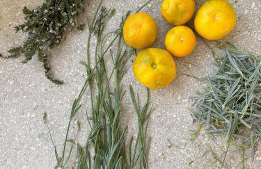 Villa Brachia - Photo 44