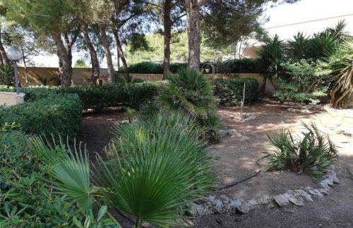 Paradiso House - Foto 19