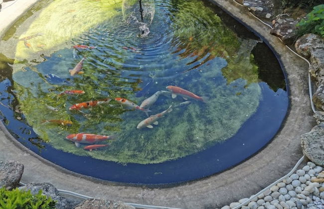 Serviced Waterfront Whole Villa Sydney - Foto 26