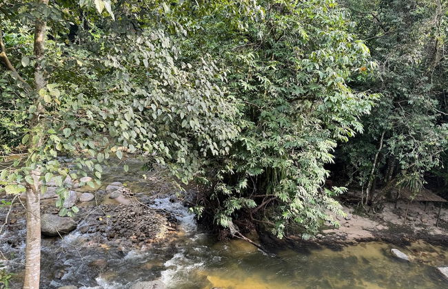 kuala woh resort - Foto 10