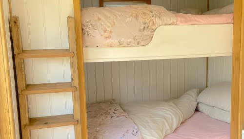 Shepherd Hut 1 - Photo 3