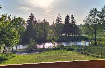 Domek Nad Stawem Bory Tucholskie - Foto 25