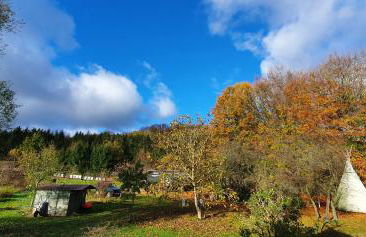 Apartment Kliemkiker, Nähe Binz in traumhafter Alleinlage - Foto 28