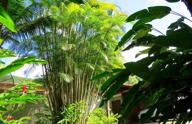 Pousada Cambury - Foto 23