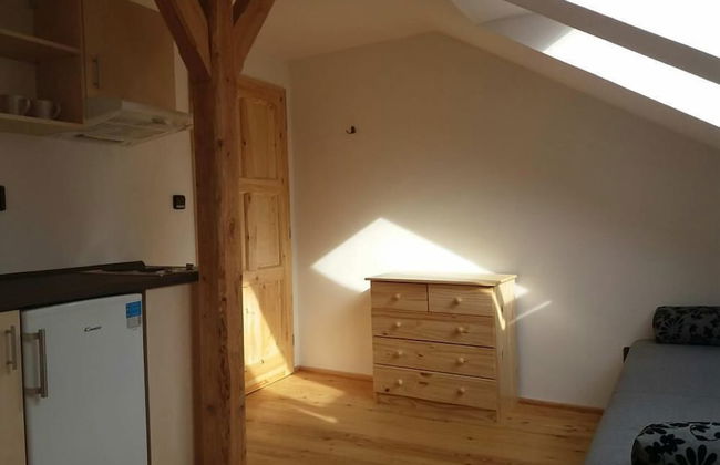 Kyprův mlýn - Photo 16