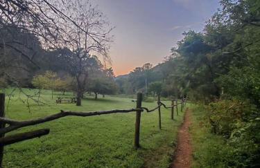 Shiners Hideaway - Cozy Cabin with Trails & Family Memories - Foto 37