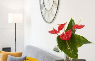 Debbie & Cris House by Mth - Foto 19