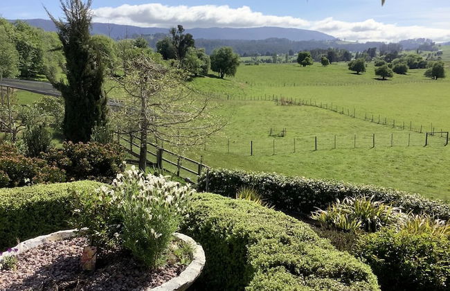 Mole Creek Hideaway - Photo 33