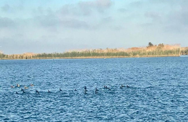 Cottage in Deltebre Near Far del Fangar - Foto 29