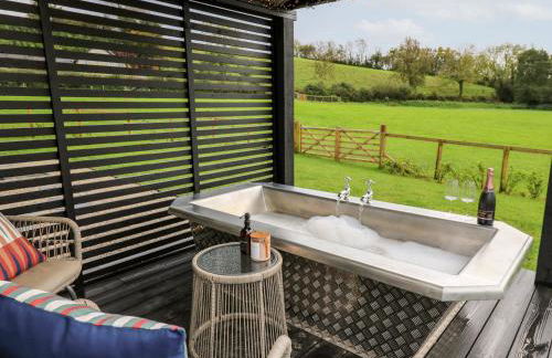 Dragonfly Shepherd's Hut - Photo 21