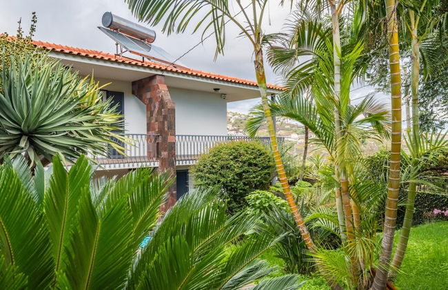 Casa Olimpo by Madeira Sun Travel - Foto 30