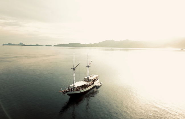 Samara II Liveaboard - Foto 13