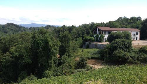 Sotto il pergolato di glicine - Foto 3