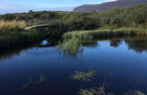 Bremenvoir Barn - Foto 23