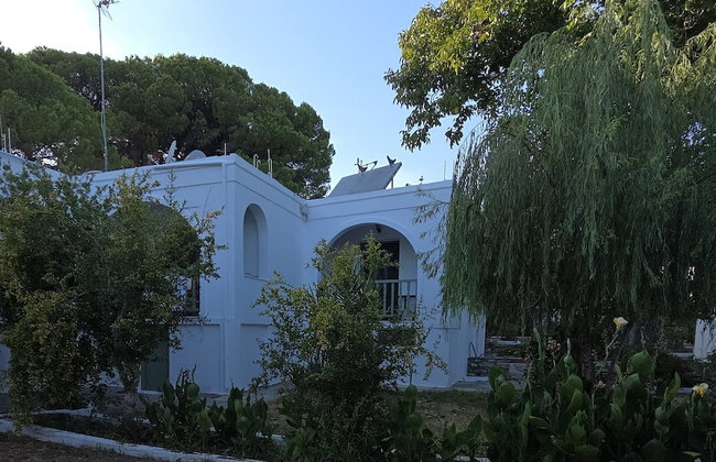 3 Goddesses - Foto 26