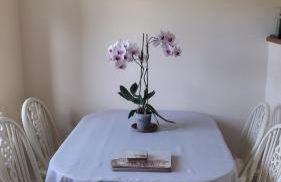 The Byre at Mill Farm Farlow - Photo 3