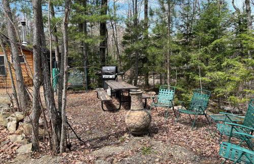 Nordico Point - Foto 3