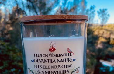 Avignon : Le Mas Cott, le paradis dans la nature - Foto 13