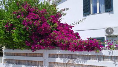 Piero's Apartment Calasetta - Foto 5